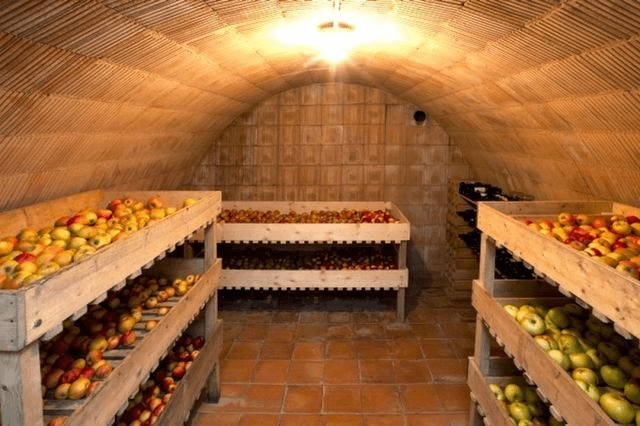 underground food storage